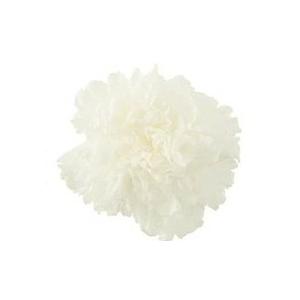 【プリザーブドフラワー 花材 資材】 白・ミニカ...の商品画像