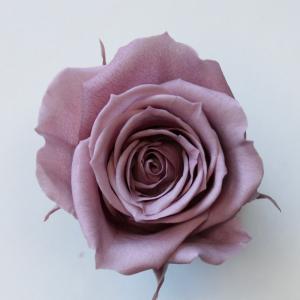 【プリザーブドフラワー 花材 資材】 ローズ・サ...の商品画像