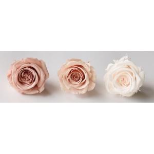 【プリザーブドフラワー　花材　資材】 ローズ・サラ・カラーアソート・ニュアンスミックス（9輪入り）