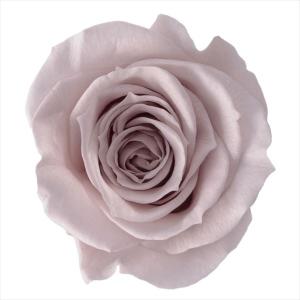 【プリザーブドフラワー 花材 資材】 ピンクベー...の商品画像