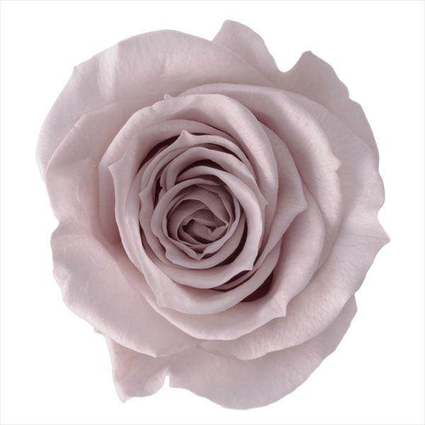 【プリザーブドフラワー　花材　資材】 ピンクベージュ・ローズ・いずみ・大地農園（９輪入）