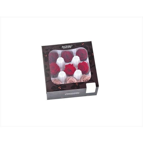 【プリザーブドフラワー　花材　資材】 ローズ・いずみ・カラーアソート・レッドミックス