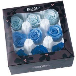 【プリザーブドフラワー　花材　資材】 ローズいずみ・ブルーミックス