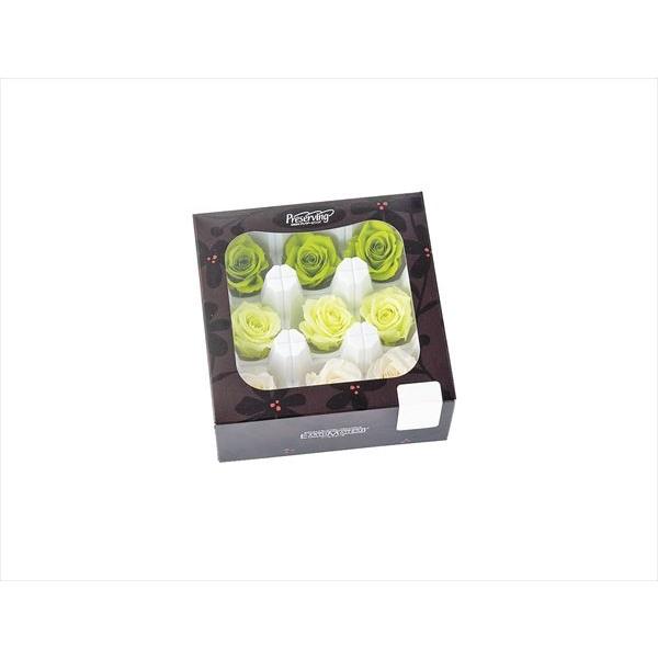 【プリザーブドフラワー　花材　資材】 ローズ・いずみ・カラーアソート・グリーンミックス