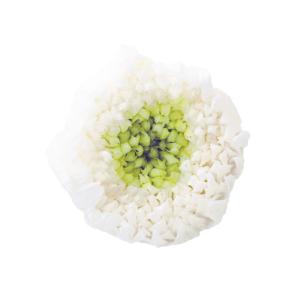 【プリザーブドフラワー 花材 資材】 ホワイトグ...の商品画像