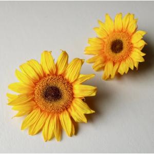 プリザーブドフラワー 花材 とりよせ品 カーネーション プリザーブドフラワー 花材 とりよせ品 カーネーション