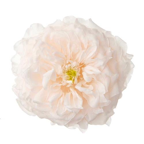 【プリザーブドフラワー　花材　資材】国産ローズ・オールフォーキュート（3輪入）・大地農園