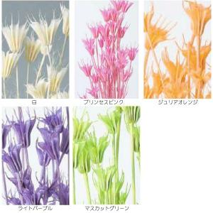【ドライフラワー 花材 資材】 ニゲラオリエン...の詳細画像1