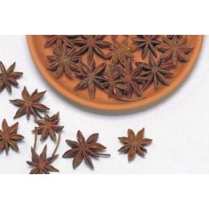 【プリザーブドフラワー　ドライフラワー　花材　資材】 スターアニス・N・大地農園