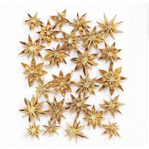 【プリザーブドフラワー　ドライフラワー　花材　資材】 スターアニス・ゴールド・大地農園