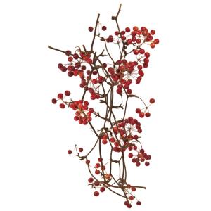 【ドライフラワー 花材 資材】 サンキライのツル...の商品画像