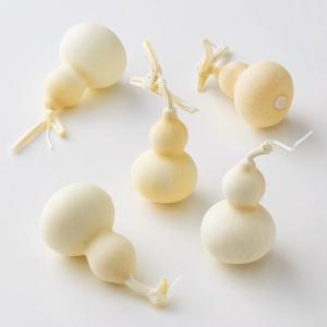 【木の実 実もの 花材 資材 ボタニカル】 豆ひ...の商品画像