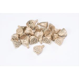 【プリザーブドフラワー　ドライフラワー　花材　資材】 プラチナ・ミニハス大