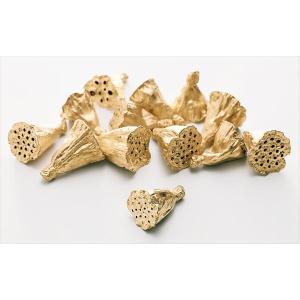 【プリザーブドフラワー　ドライフラワー　花材　資材】 ゴールド ・ミニハス小