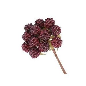 レッド・ラズベリー・13mm