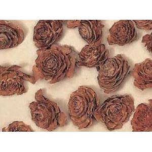 【木の実　実もの　花材　資材　ボタニカル】 シダローズヘッド・N　ドライ　素材　リース材料　大地農園