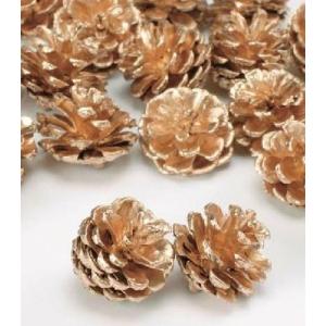 【プリザーブドフラワー　ドライフラワー　花材　資材】 松カサ・小 ゴールド・大地農園