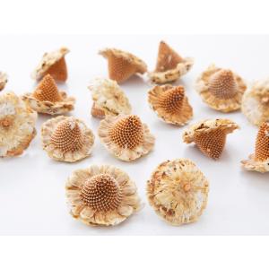 【プリザーブドフラワー ドライフラワー 花材 資...の商品画像