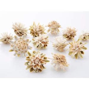 【プリザーブドフラワー ドライフラワー 花材 資...の商品画像