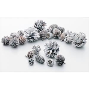 【プリザーブドフラワー　ドライフラワー　花材　資材】 コーンアソート・ウォッシュホワイト・大地農園