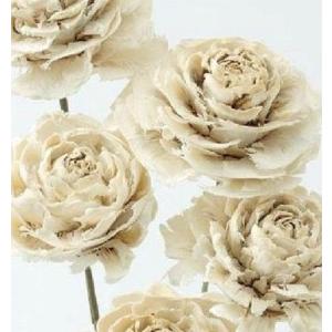 【ハンドメイドフラワー　花材　資材】 シダローズ オフホワイト・大地農園