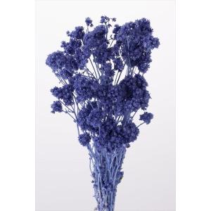 クリスパム・コバルトブルー・大地農園