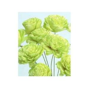 【ハンドメイドフラワー　花材　資材】 ソーラーローズ・小・エンジェルグリーン・大地農園