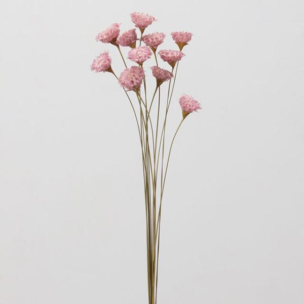 【ハンドメイドフラワー　花材　資材】 カップフラワー・ピンク・大地農園