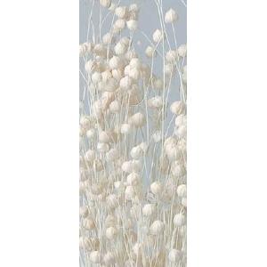 【ドライフラワー　花材　資材】 白・リンフラワー