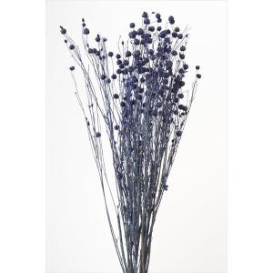 コバルトブルー・リンフラワー