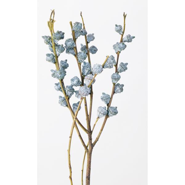 【ドライフラワー　花材　資材】ユーカリ・グロボラス・大地農園