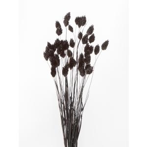 【ドライフラワー 花材 資材】 ポアプランツ・...の詳細画像2