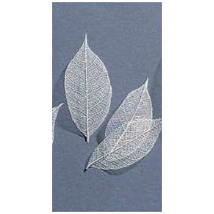 【プリザーブドフラワー　ドライフラワー　花材　資材】 白・ミニスケルトンリーフ・小・大地農園