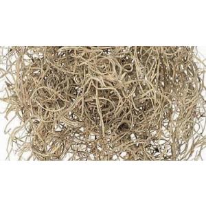 【ドライフラワー　花材　資材】 スパニッシュモス　小袋 Ｎ・大地農園