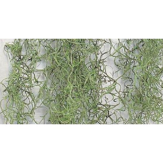 【プリザーブドフラワー　花材　資材】 ソフト・スパニッシュモス　小袋・グリーン・ソフト加工