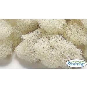 【プリザーブドフラワー　花材　資材】 フィンランドモス・大地農園