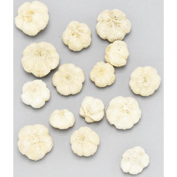 【ドライフラワー　花材　資材】 パラスピーパル・サラシ