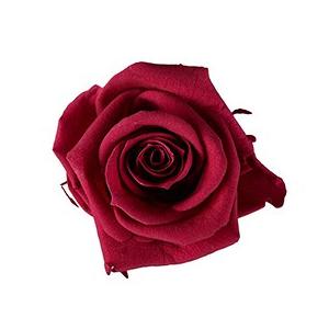 プリザーブドフラワー・ カーディナル・スタンダード・