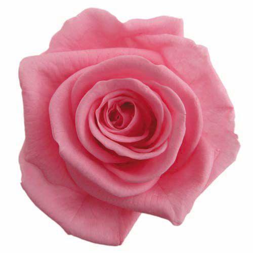 プリザーブドフラワー・ シュガーピンク・スタンダード・