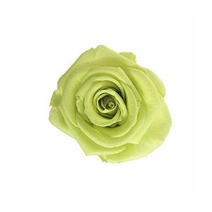 プリザーブドフラワー・ シトラスグリーン・スタンダード・