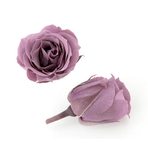 プリザーブドフラワー・ ラベンダー・ピッコラブロッサム・