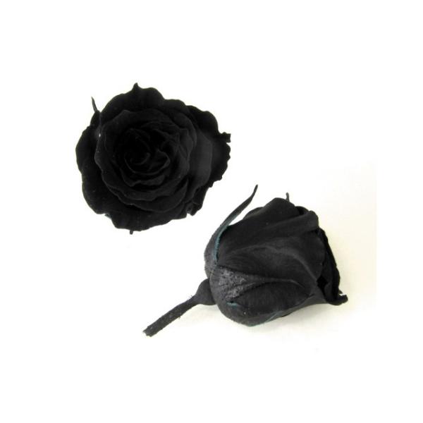 プリザーブドフラワー・ ミッドナイトブラック・ピッコラブロッサム・