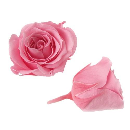 プリザーブドフラワー・ シュガーピンク・ピッコラブロッサム・