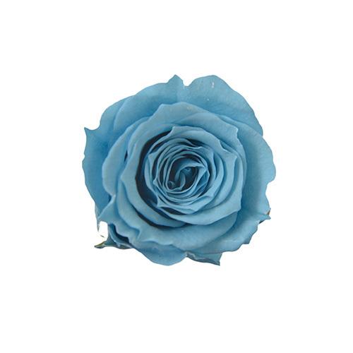 プリザーブドフラワー・ ホリゾンブルー・ピッコラブロッサム・