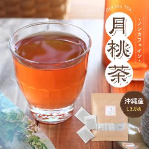 【送料無料】月桃茶 お茶 ティーパック 4g×20個入り オーガニック ダイエット 美容 ポリフェノール 健康茶 和ハーブ ルイボスティー｜plusentrysoreyhs