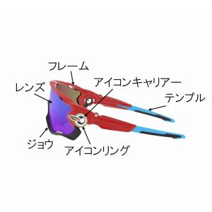 国内正規品 OAKLEY JAWBREAKER...の詳細画像2