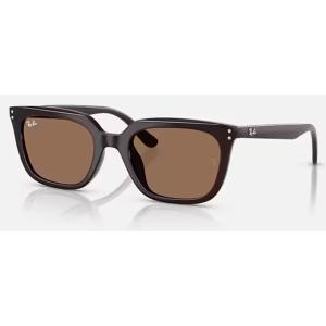 Ray-Ban（レイバン） サングラス RB4439D 901/73 ブラック/オークル 54