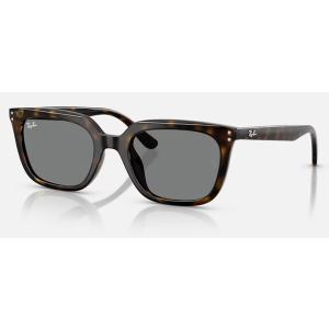 正規保証書(押印)付 レイバン Ray-Ban 4439D ( Low Bridge Fit )  ...