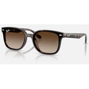 正規保証書(押印)付 レイバン Ray-Ban 4461D ( Low Bridge Fit ) R...