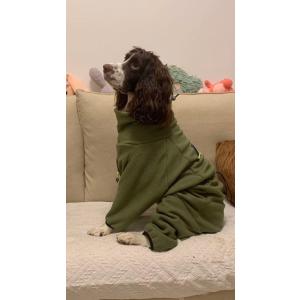 大型犬用 冬服 犬ジャンプスーツ 防寒ウェア 簡単着脱 ジッパー式 Corgi シバ サモエド ハス...